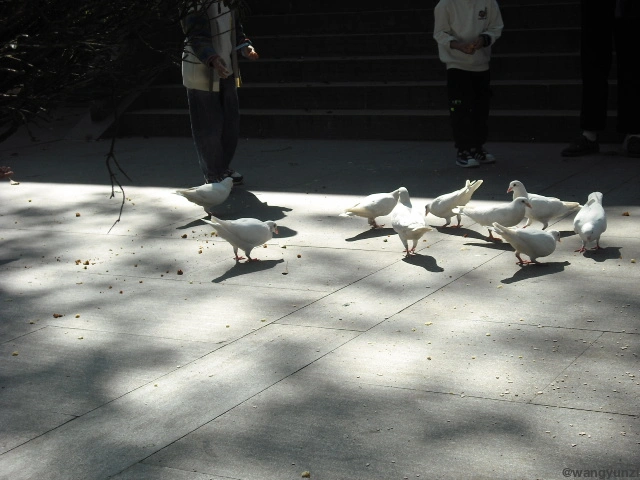 2023-10-22 法喜寺/灵隐寺