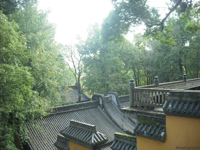 2023-10-22 法喜寺/灵隐寺