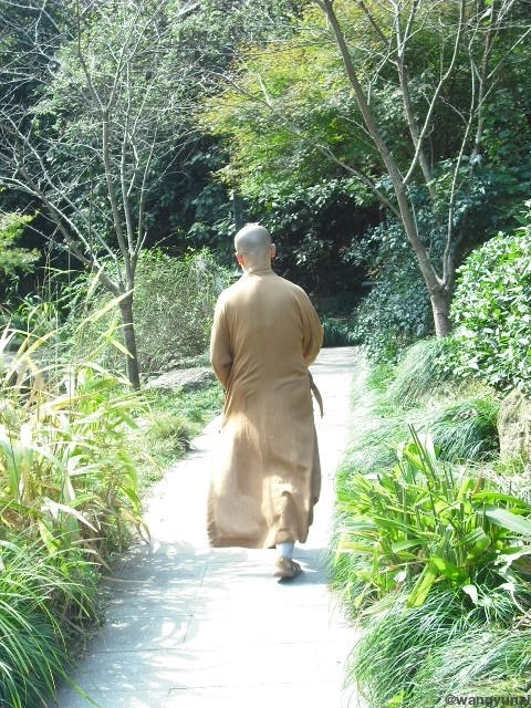 2023-10-22 法喜寺/灵隐寺