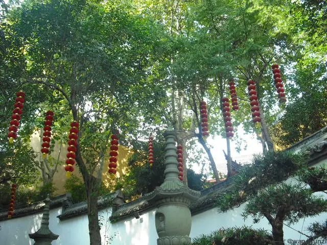 2023-10-22 法喜寺/灵隐寺