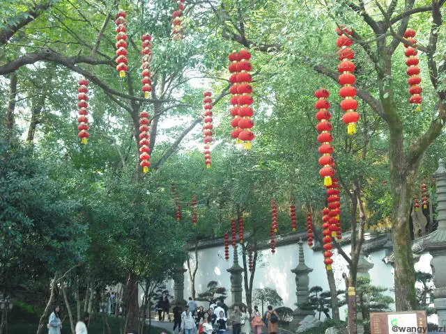 2023-10-22 法喜寺/灵隐寺