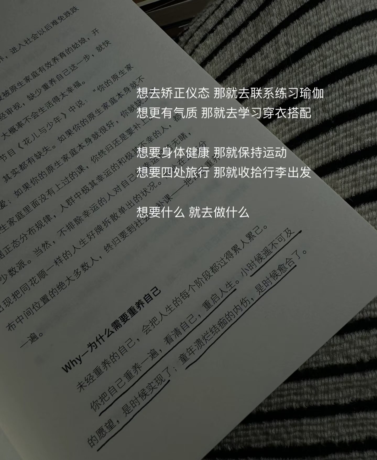 长大就是把自己重新养一遍